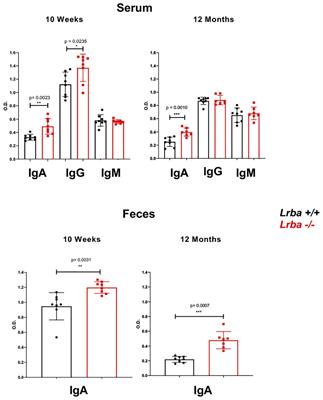 Lrba participates in the differentiation of IgA+ B lymphocytes through TGFβR signaling